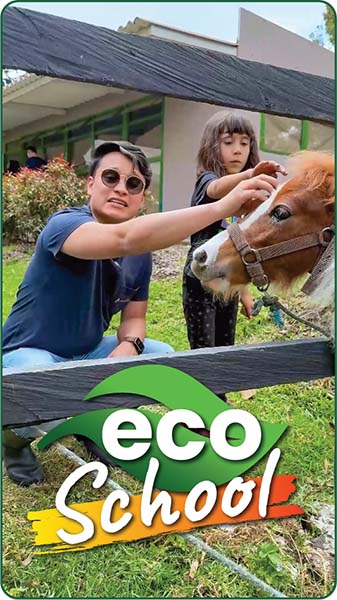 Portada video Eco School