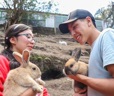Educación y cuidado animal para formar ciudadanos