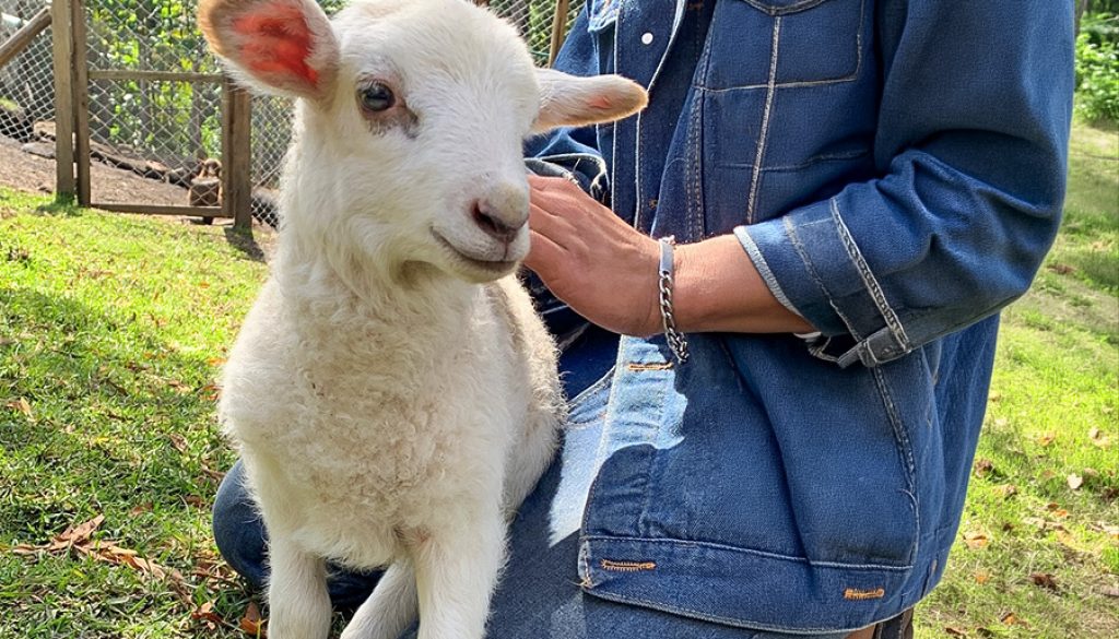Aprender en conexión con la naturaleza una experiencia que transforma
