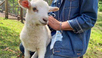 Aprender en conexión con la naturaleza una experiencia que transforma
