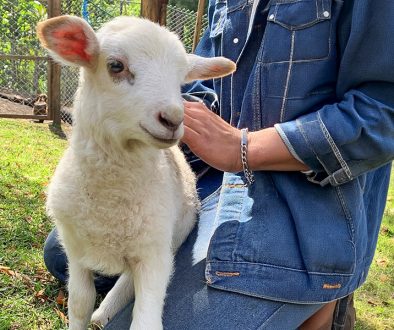 Aprender en conexión con la naturaleza una experiencia que transforma